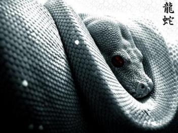 Змія - це символ оновлення