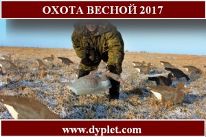 Полювання навесні 2017 роки вже хвилює мільйони мисливців з Росії, які в очікуванні рішення відповідних органів