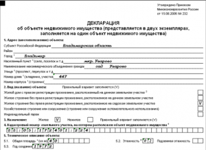 Відповідно до раніше затвердженого наказом Міністерства економічного розвитку РФ № 447, прийнятим 3 листопада 2009 року, декларація має уніфіковану форму (бланк)