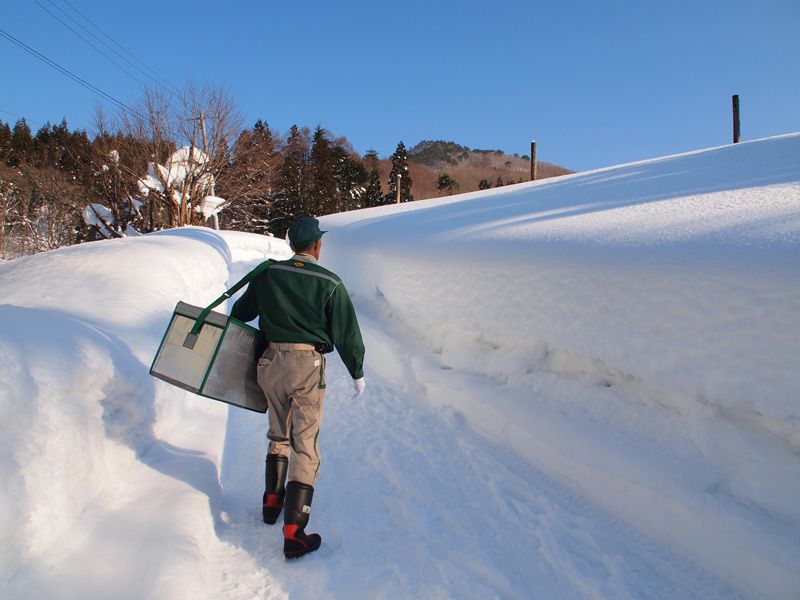 Працівник кур'єрської служби доставляє охолоджені продукти взимку © YAMATO TRANSPORT CO